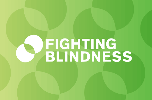 Supporting Fighting Blindness Ireland’s Annual Retina Conference